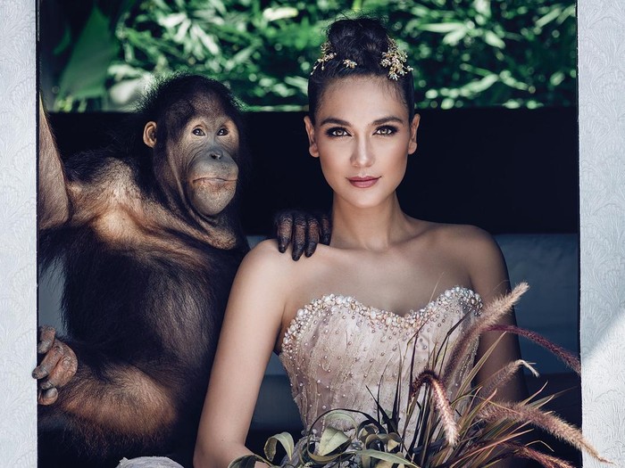 Lakukan Sesi Pemotretan dengan Orangutan, Luna Maya Dikecam