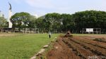 Rumput Hijau Mulai Dikeruk untuk Revitalisasi Lapangan Banteng