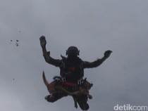 Video: Ketika Guguk Ikut Terjun Payung di Monas