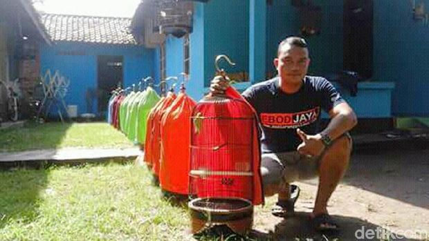Koptu Tikno Wibowo beternak burung cinta.
