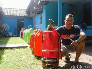 Berawal dari Hobi, Prajurit Ini Jadi Peternak Handal Burung Cinta