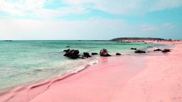 Pantai pink di Harbour Island (Youtube)