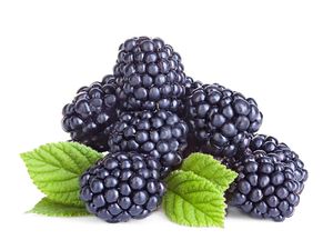 Raspberry Hitam Boleh Dilirik karena Bagus untuk Kesuburan
