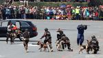 Keren! Beragam Atraksi Pasukan di HUT TNI