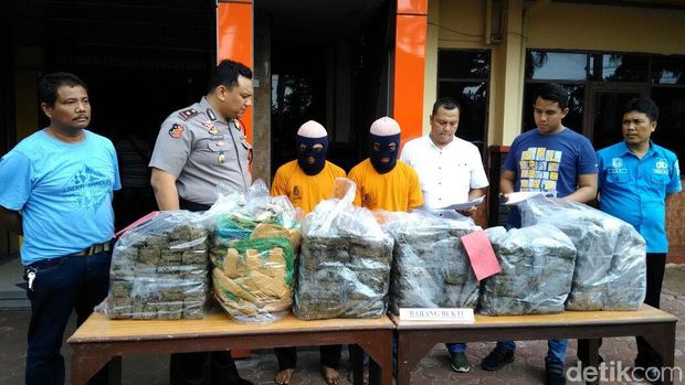 Pengiriman 80 Kg Ganja dari Aceh Digagalkan di Medan