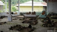 Soal kemunculan Jere, tidak ada yang tahu persis kapan waktunya, dan juga dimana lokasinya. Tahu-tahu, nisan makam sudah muncul dengan sendirinya. Tidak ada yang menggali sebelumnya (Wahyu/detikTravel)