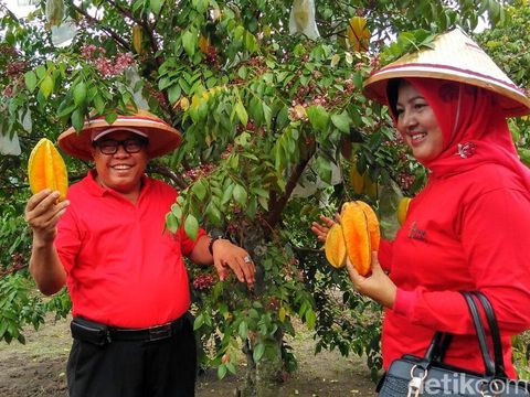 Kampung Belimbing Destinasi Wisata Alam Di Tengah Kota Blitar