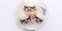 Mochi bertema Star Wars yang unik di Disneyland Tokyo.
