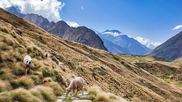 Lembah Johar, Tibet
