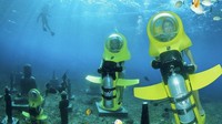 Serunya, traveler juga tidak perlu license khusus untuk mencoba Underwater Scooter ini. Karena termasuk scuba diving dan peralatannya pun juga tidak memerlukan latihan khusus (Bali Underwater Scooter)