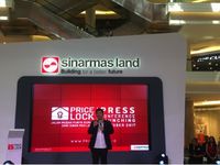 CEO Strategic Development and Sevices Sinar Mas Land Ishak Chandra (Foto: detikcom)