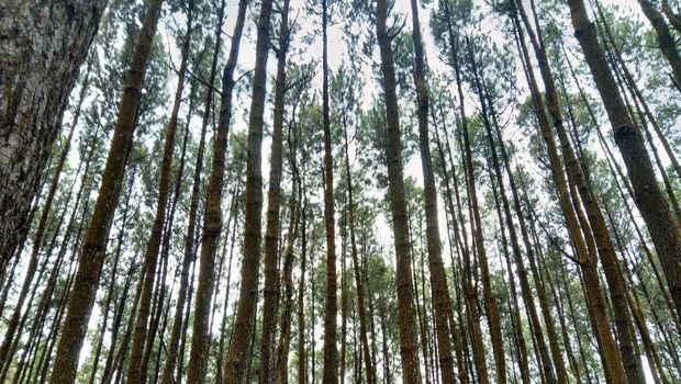 Sudah Gajian, Enaknya Liburan ke 5 Tempat Ini