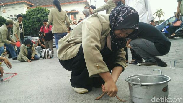 Mahasiswa menangkap belut