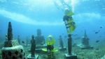 Foto: Ini Baru Beda, Skuter Bawah Laut