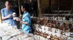YDBA Kembangkan Komunitas Sektor Unggulan UMKM Kuliner di Mataram