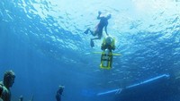 Underwater Scooter sudah tersedia di berbagai negara. Di Indonesia, kamu bisa menemukan beberapa spotnya di Bali yakni Bali Underwater Scooter (Bali Underwater Scooter)