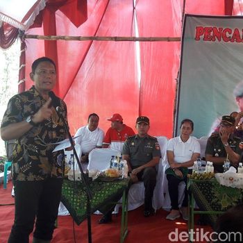 Kejar Target Swasembada, 20 Provinsi Tanam Serentak Kedelai