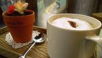 Ini Dia 13 Kafe Bertema Unik dan Lucu di Korea Selatan!