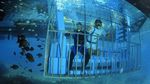 Foto: Ini Baru Beda, Skuter Bawah Laut