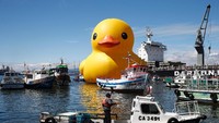 Ini bukan bebek betulan melainkan instalasi seni yang diletakkan di tengah-tengah Pelabuhan Valparaiso di Chile.