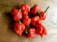 Ini Aksi Kelly Clarkson Makan Cabai Harbanero untuk ALS Pepper Challenge