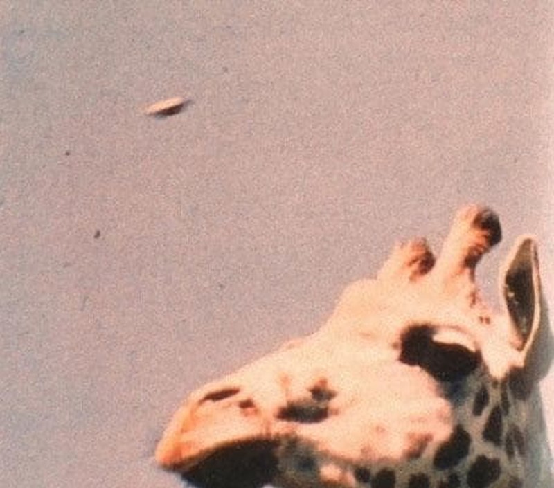 Deretan Penampakan UFO Sejak Dulu Kala