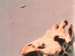 Aneka Foto Jadul Penampakan UFO Sejak Lama