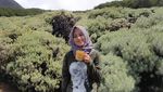Foto: Siska, Hijaber Cantik yang Suka Naik Gunung