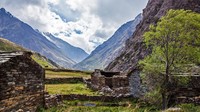 Inilah rumah bagi jamur ulat aneh yang bisa menghasilkan lebih dari USD 20 ribu per kilogram atau setara Rp 279 juta. Jenis perdagangan yang baru yang ada di Jalur Sutra kuno (Dok. Himanshu Khagta/BBC Travel)