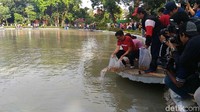 Benih dilepaskan Djarot bersama istrinya pada pukul 08.05 WIB. Benih tersebut terdiri dari benih ikan nila dan lele. Djarot berencana menambah ikan koi yang berasal dari Blitar. (Foto: Samsudhuha Wildansyah/detikcom)