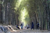 Rekomendasi Tempat Wisata Bagi Traveler Yang Mudik Ke Surabaya Rekomendasi Tempat Wisata Bagi Traveler Yang Mudik Ke Surabaya