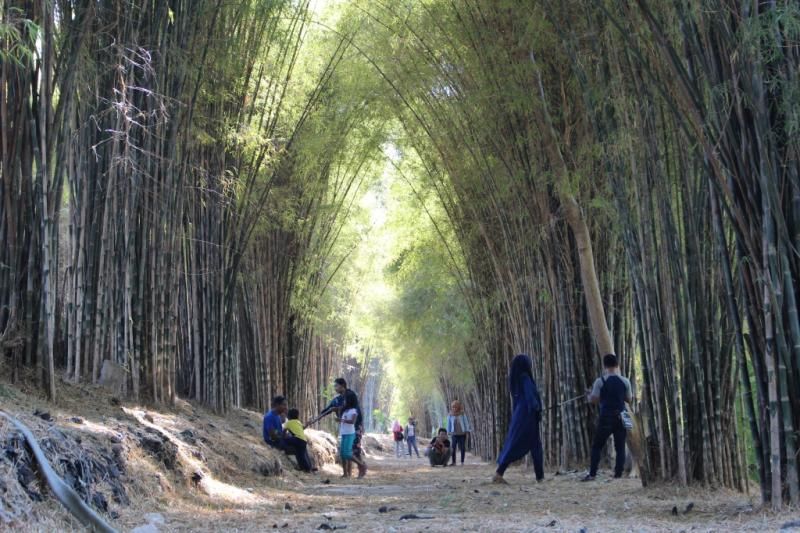 Hutan bambu di Surabaya