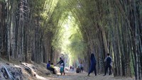 Hutan Bambu Keputih sebelumnya merupakan tempat pembuangan sampah yang sudah ditutup. Kini, hutan bambu keputih menjadi destinasi alam yang instagramable. (brigits_emilianav/dTraveler)
