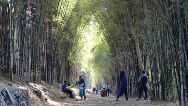 Hutan bambu di Surabaya
