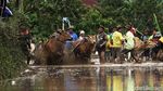 Foto: Tradisi Balap Sapi Khas Minang