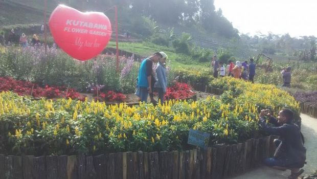 Kebun di Purbalingga