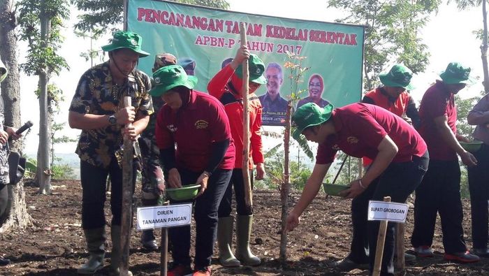 Foto: Dok Kementan Foto: Dok Kementan