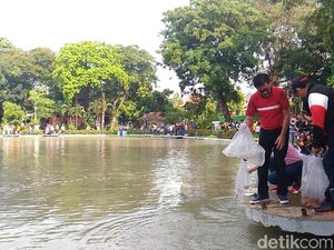 Djarot ke Pemancing Situ Lembang: Jangan Pakai Setrum!
