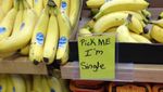 Kreatif! Intip 10 Penanda Produk Makanan Lucu di Supermarket Ini