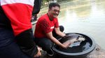 Djarot Lepas 50 Ribu Benih Ikan di Taman Situ Lembang