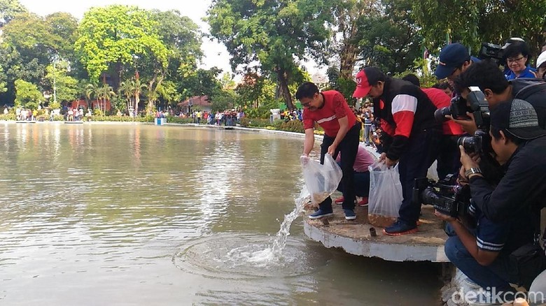 Gubernur Djarot Lepas 50 Ribu Benih Ikan Di Taman Situ Lembang