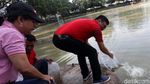 Djarot Lepas 50 Ribu Benih Ikan di Taman Situ Lembang