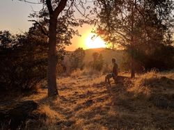 Melihat Hasil Jepretan Rajanya Kamera Ponsel