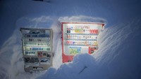 Tak sulit menemukan vending machine di Jepang mengingat ada lebih dari 500 ribu vending machine di sana. Ini vending machine di Hokkaido yang tetap bersinar meski diterpa badai salju. Foto: Istimewa
