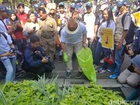 Serunya Para Dedemit Pungut Sampah di CFD Dago