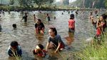 Keceriaan Tangkap Ikan Saat Panen Raya di Mojokerto