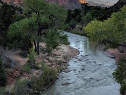 Melihat Hasil Jepretan Rajanya Kamera Ponsel