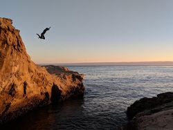 Melihat Hasil Jepretan Rajanya Kamera Ponsel