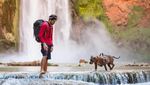 Foto: Ini Penni, Anjing yang Suka Hiking