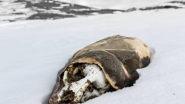 Lembah Kering McMurdo